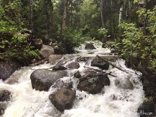 Bells Canyon Waterfall trail guide