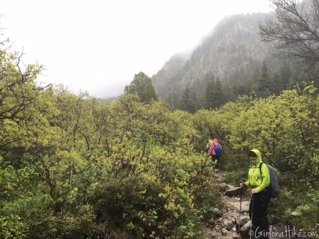 Bells Canyon Waterfall trail guide