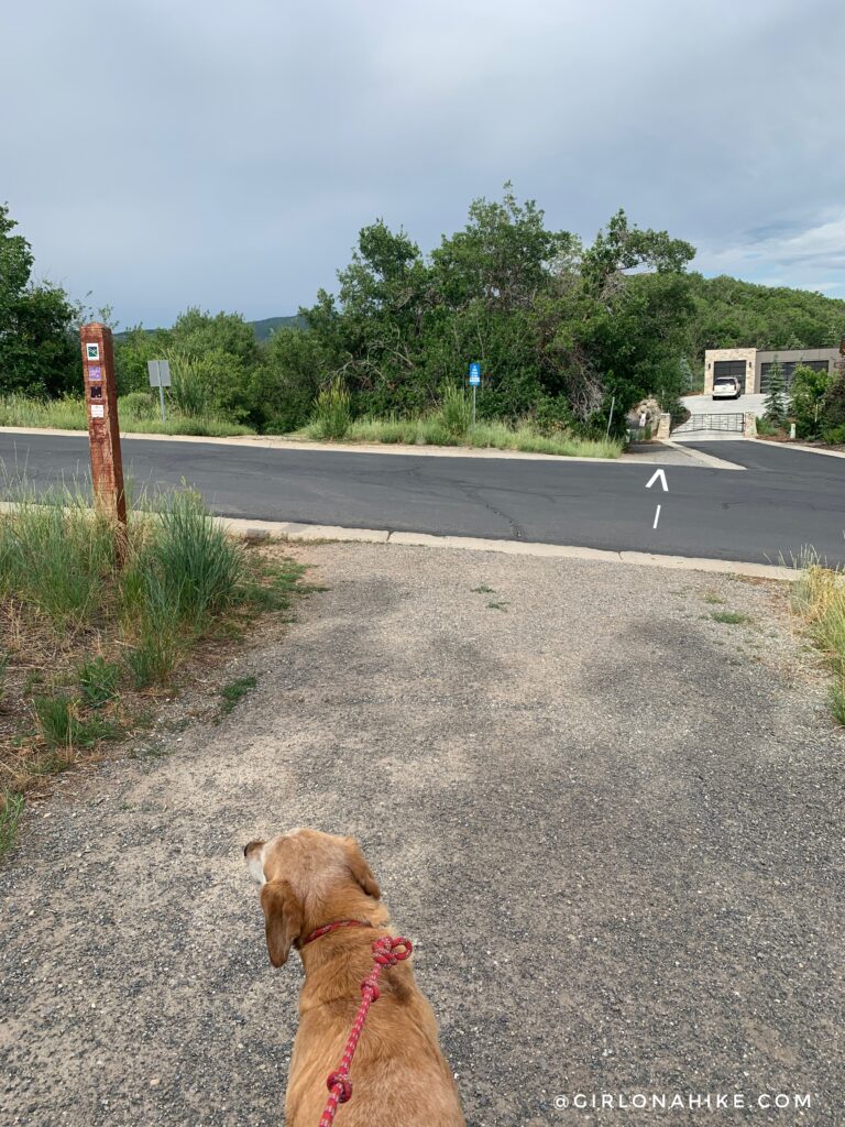 The Woods Trail & Dog Park