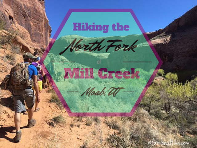The Best Dog Friendly Waterfalls Hikes in Utah, North From Mill creek Moab