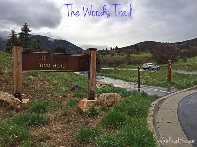 The Woods Trail and Dog Park, Hiking in Utah with Dogs