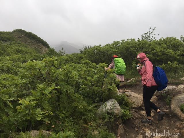 Bells Canyon Waterfall trail guide