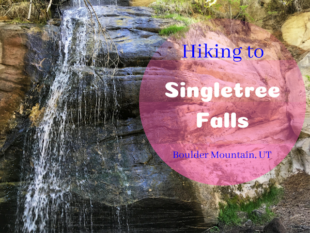 The Best Dog Friendly Waterfalls Hikes in Utah, Singletree Falls Boulder Mountain