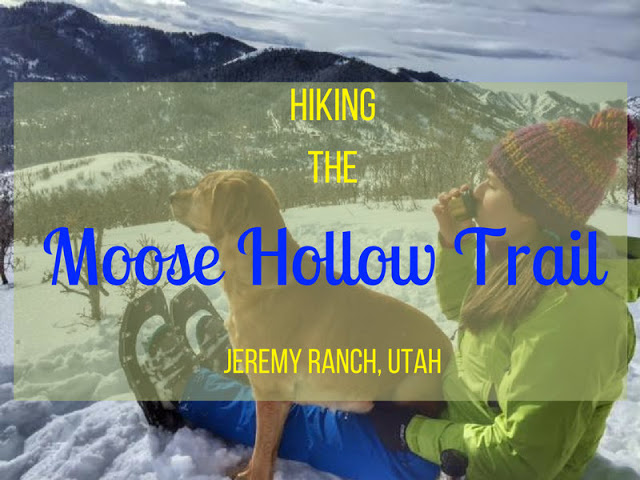 Hiking the Moose Hollow Trail