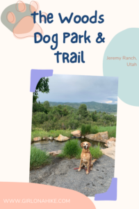 The Woods Trail & Dog Park