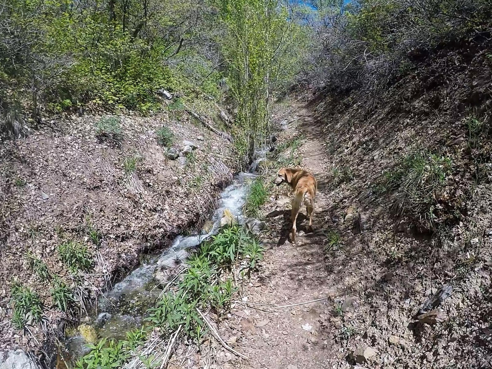 Hiking to The Grotto - Hornet Canyon