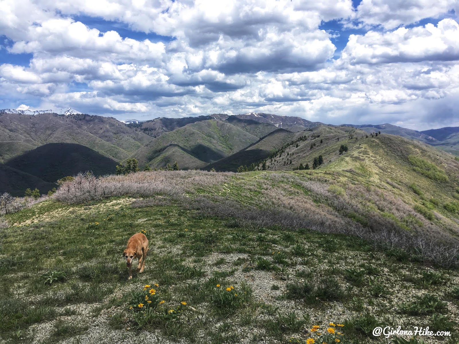 Hike the Bayliss Fork Trail, Emigration Canyon 