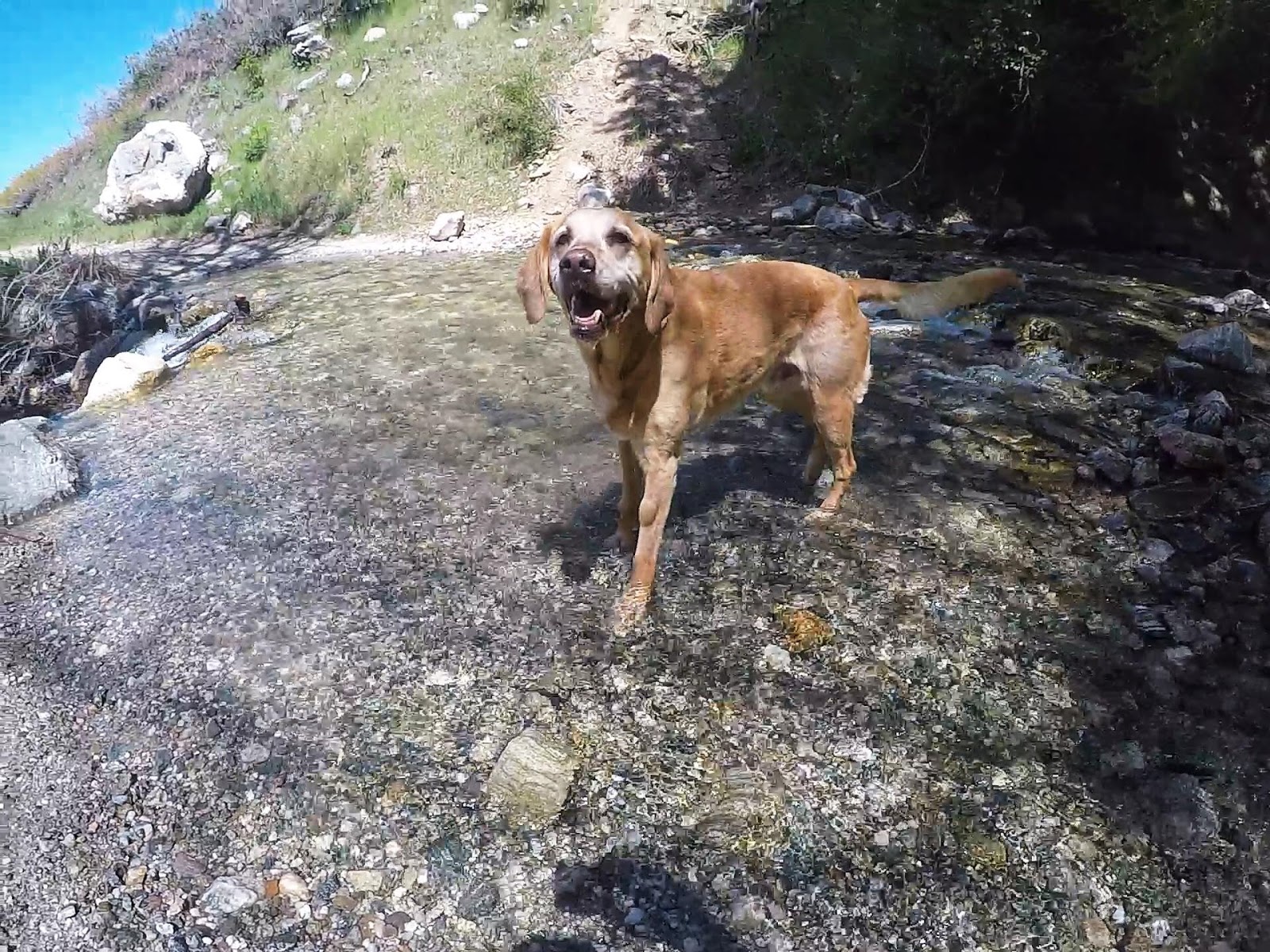 Hiking to The Grotto - Hornet Canyon