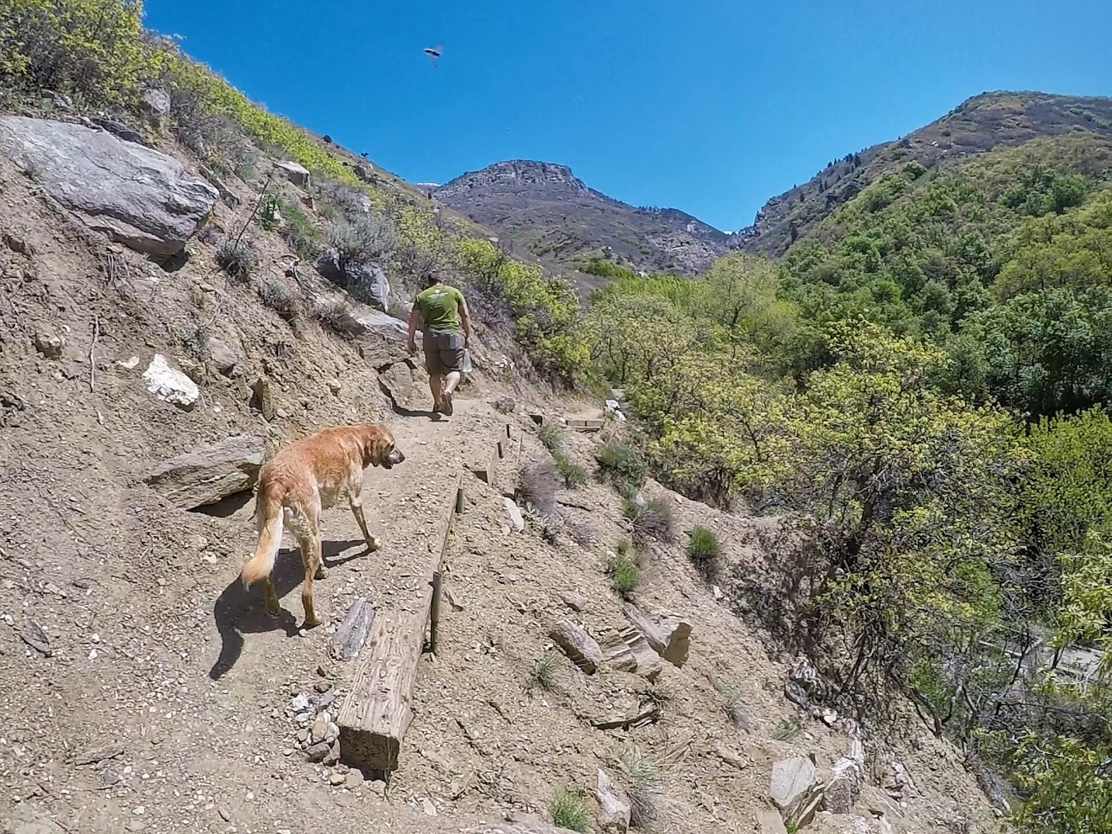 Hiking to The Grotto - Hornet Canyon