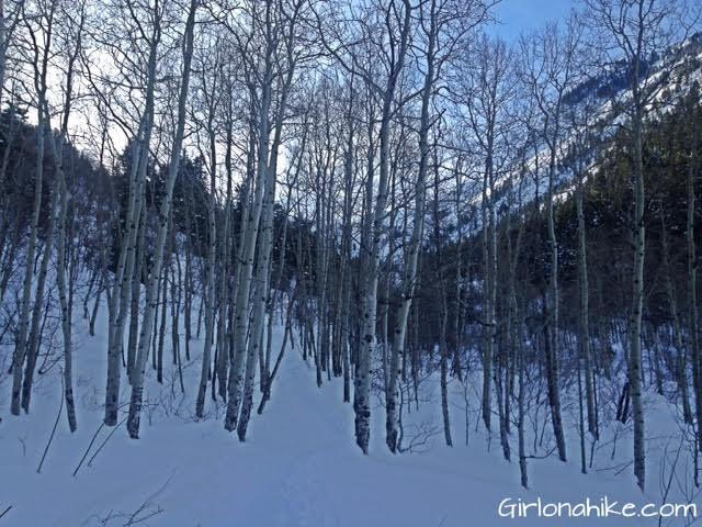 Lake Blanche Trail guide, Lake Blance, Utah, Lakes in the Wasatch Mountains, Lake Blanche trail map