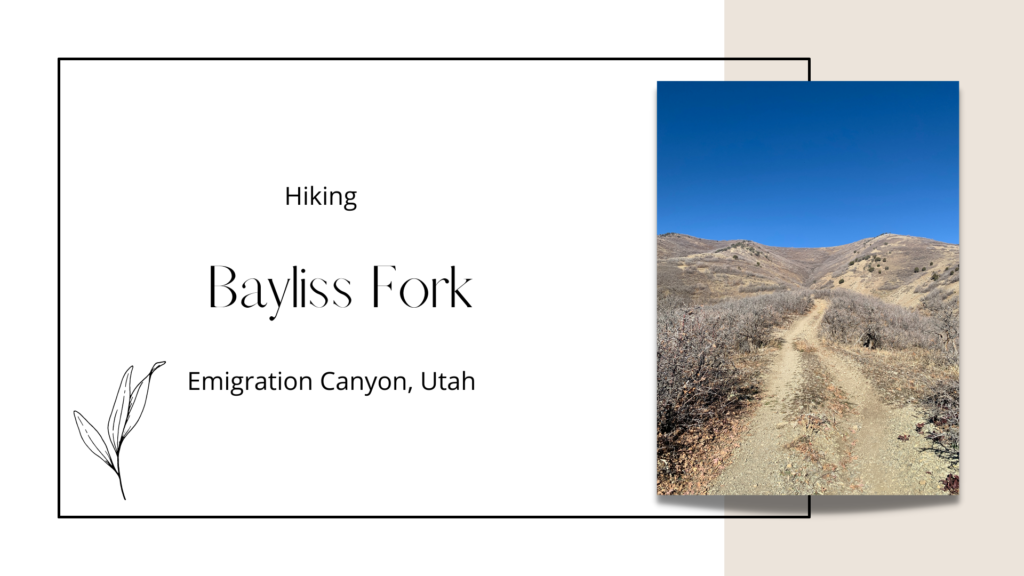 Hiking the Bayliss Fork Trail, Emigration Canyon