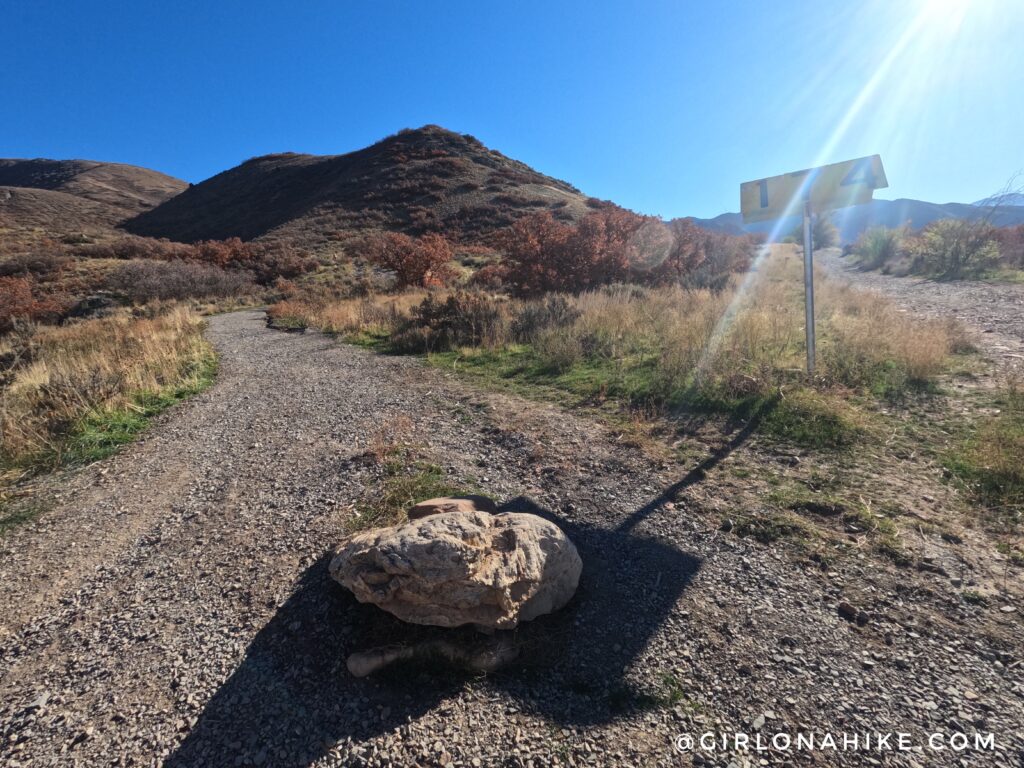 Hiking to Mt. Wire via The Living Room