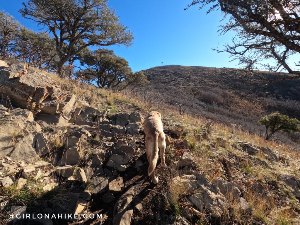 Hiking to Mt. Wire via The Living Room