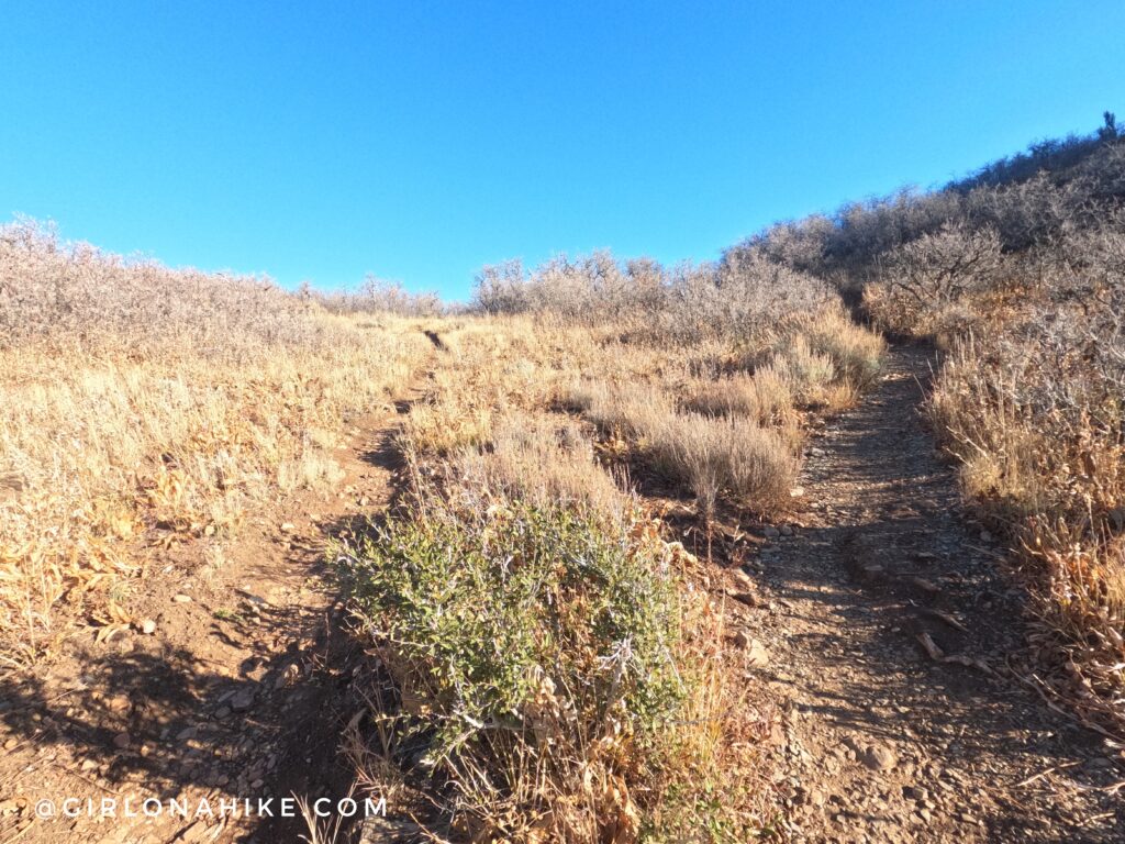 Hiking to Mt. Wire via The Living Room