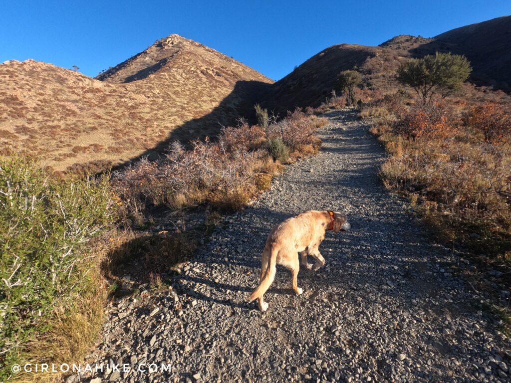 Hiking to Mt. Wire via The Living Room