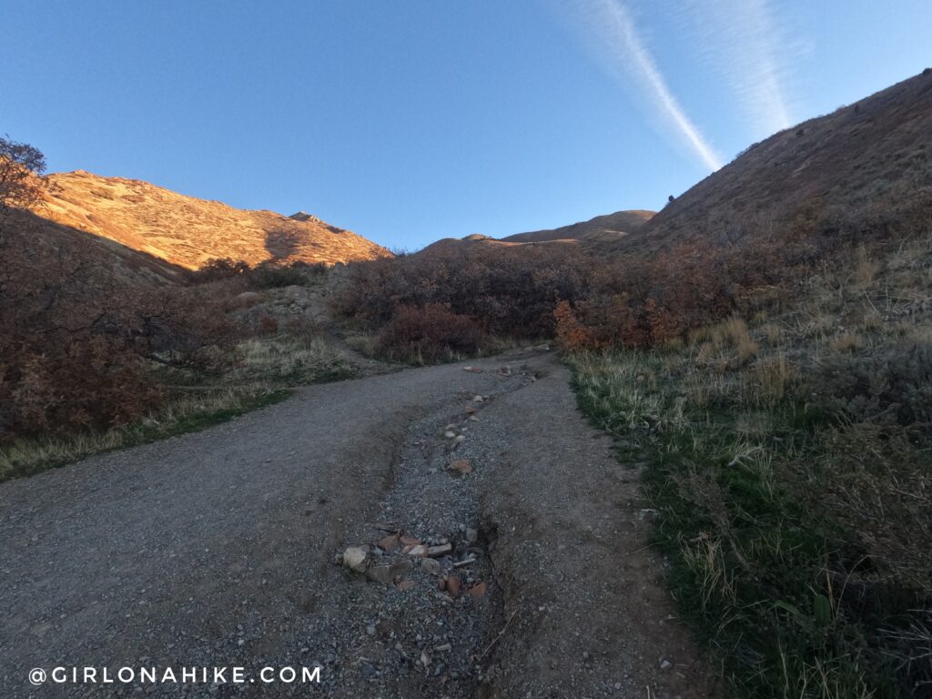 Hiking to Mt. Wire via The Living Room