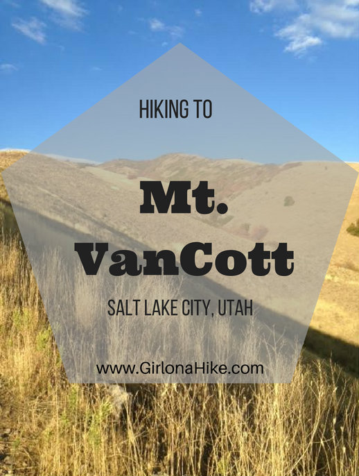 Hiking Mt. Van Cott, Hiking in Utah with Dogs