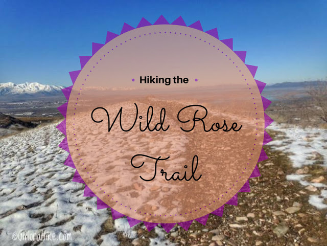 Hiking the Wild Rose Trail
