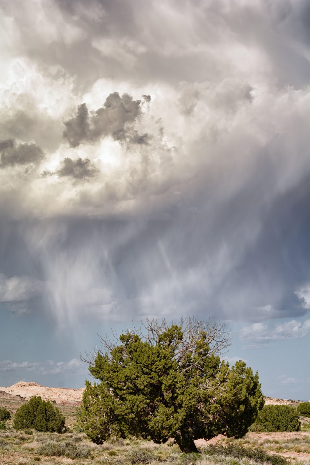 Hiking Farnsworth Canyon, San Rafael Swell