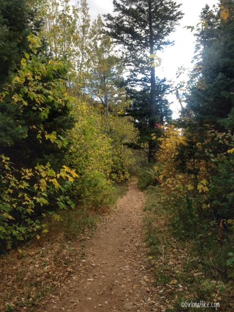 Hiking the Emigration Canyon Miners Trail