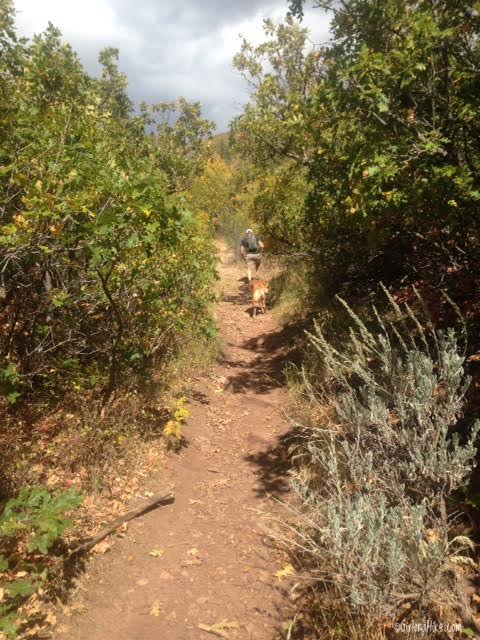 Hiking the Emigration Canyon Miners Trail