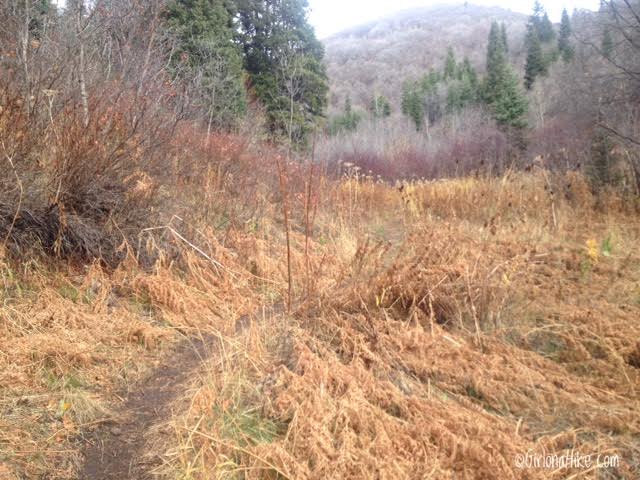 Hiking the Emigration Canyon Miners Trail