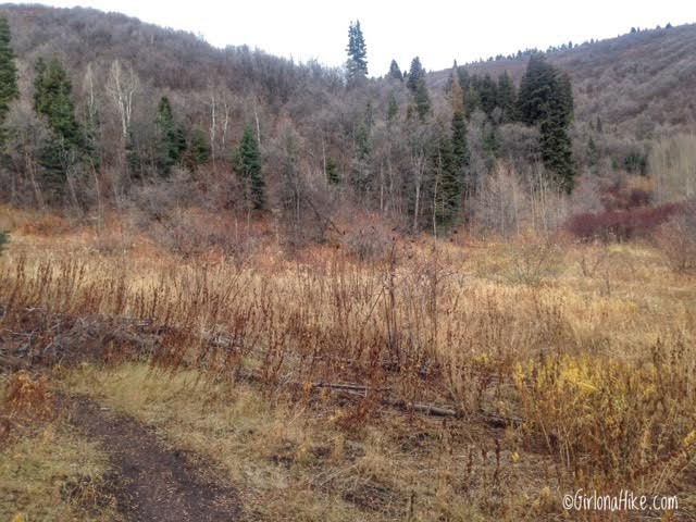 Hiking the Emigration Canyon Miners Trail