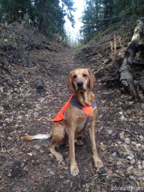 Hiking the Emigration Canyon Miners Trail