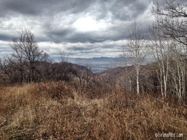 Hiking the Emigration Canyon Miners Trail