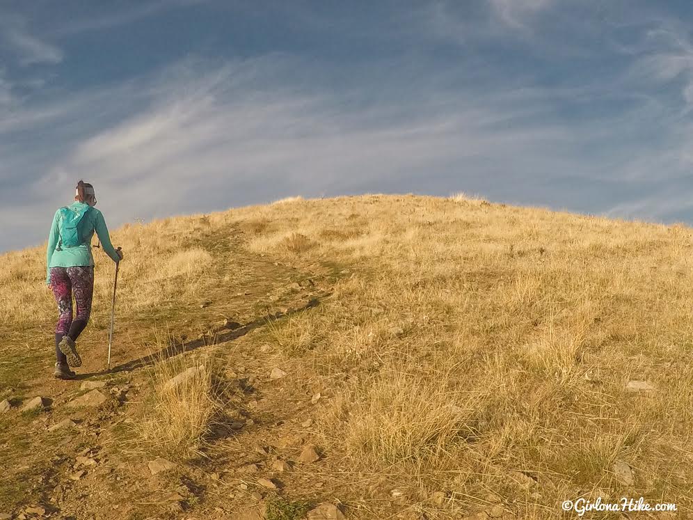 Hiking Mt. Van Cott, Hiking in Utah with Dogs