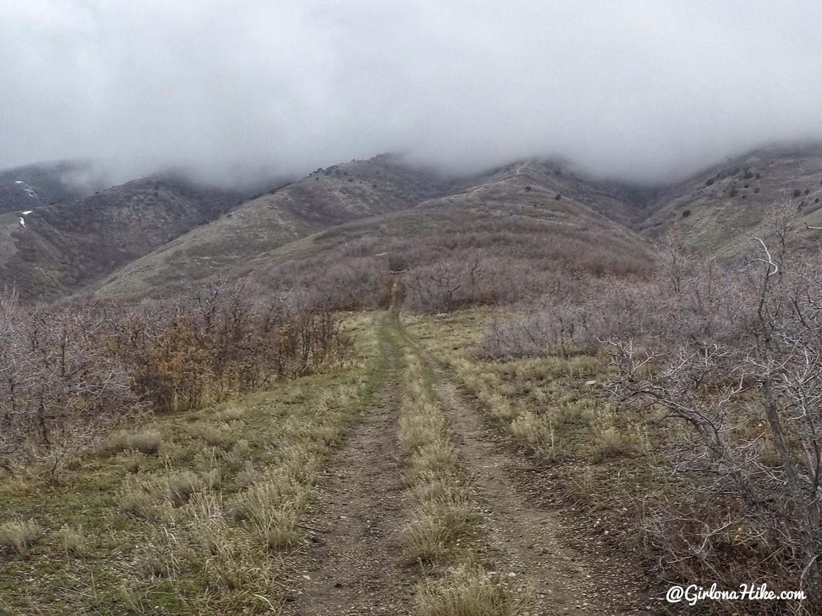 Hike the Bayliss Fork Trail, Emigration Canyon 