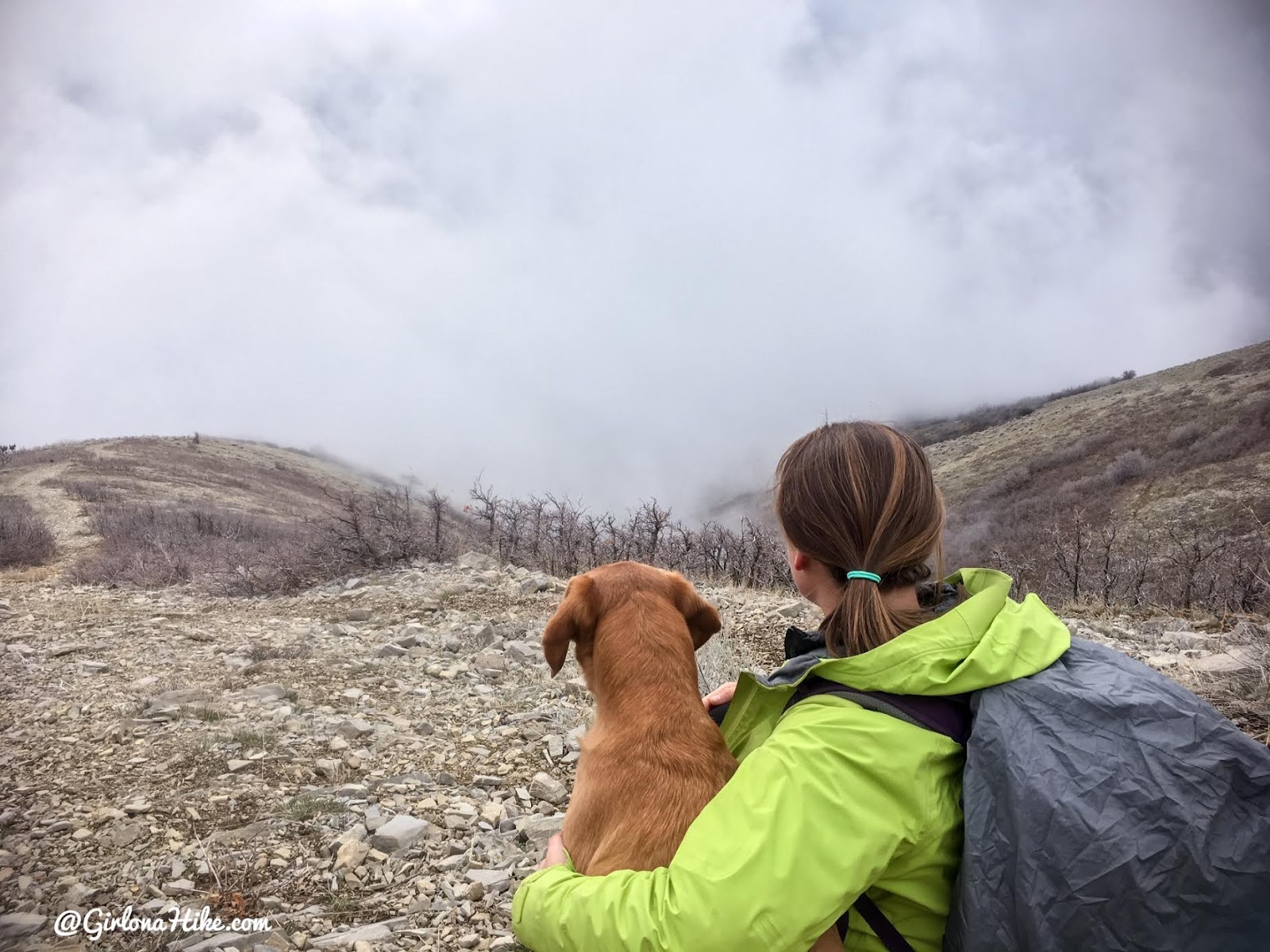 Hike the Bayliss Fork Trail, Emigration Canyon 