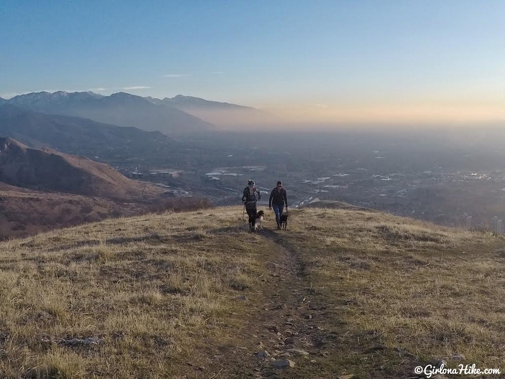 Hiking Mt. Van Cott, Hiking in Utah with Dogs