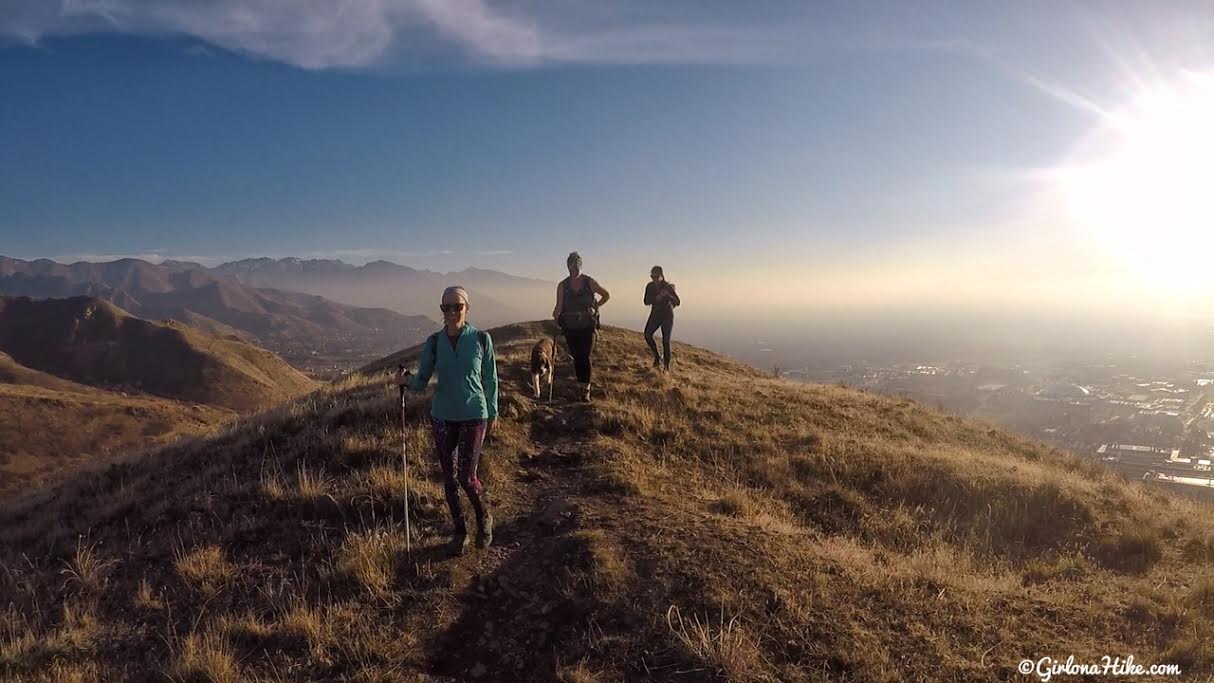 Hiking Mt. Van Cott, Hiking in Utah with Dogs