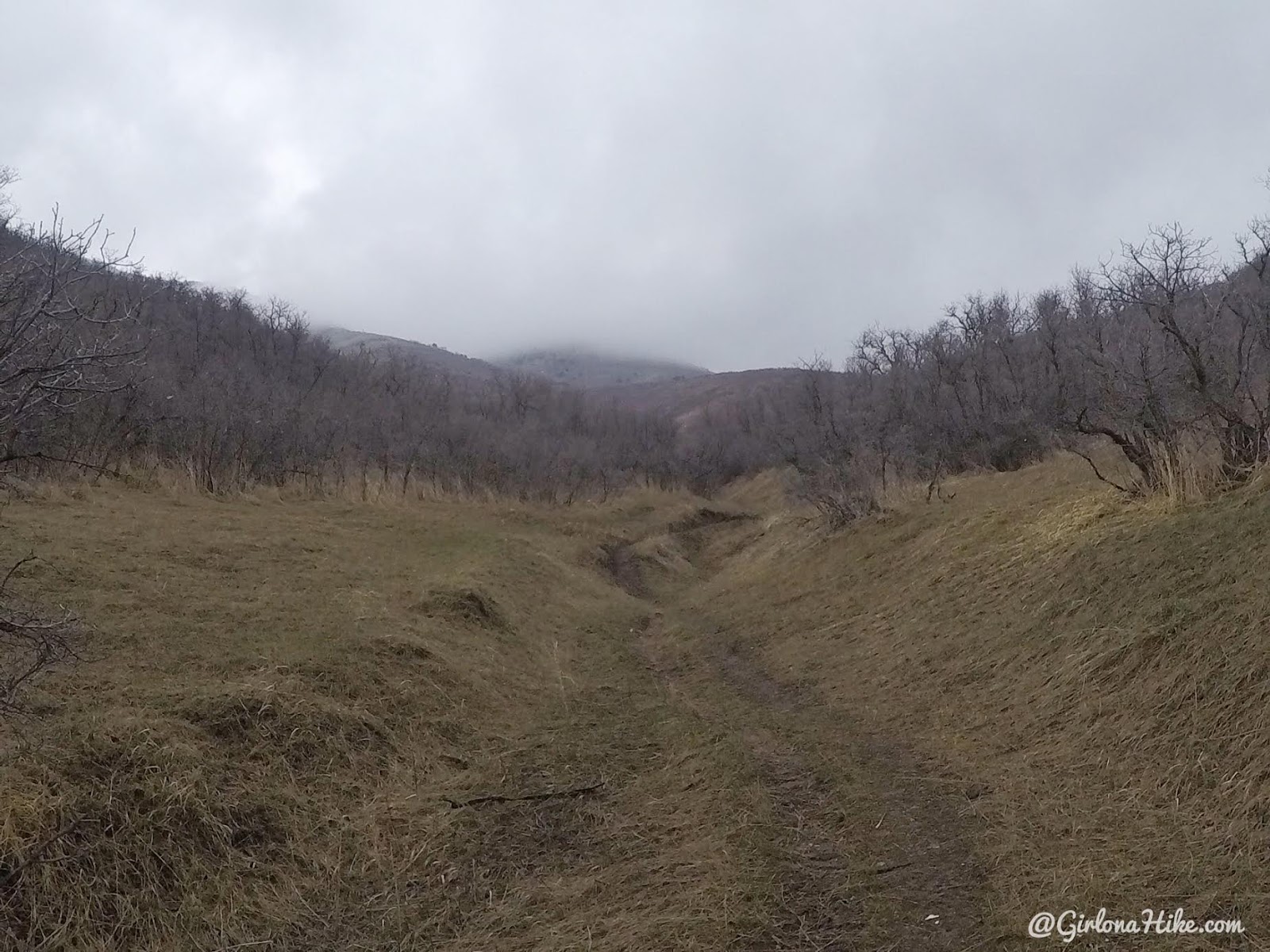 Hike the Bayliss Fork Trail, Emigration Canyon 