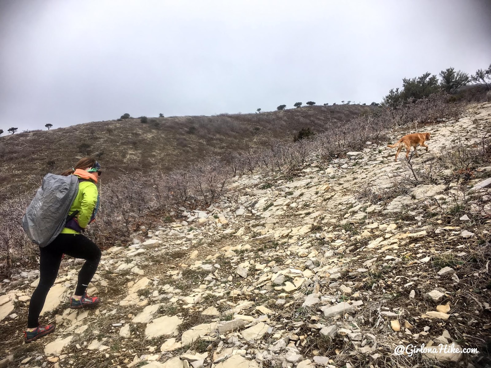 Hike the Bayliss Fork Trail, Emigration Canyon 