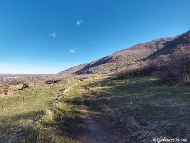 Hiking to The Grotto - Hornet Canyon, Hiking Steed Creek in Farmington, Utah, Hiking in Utah with Dogs