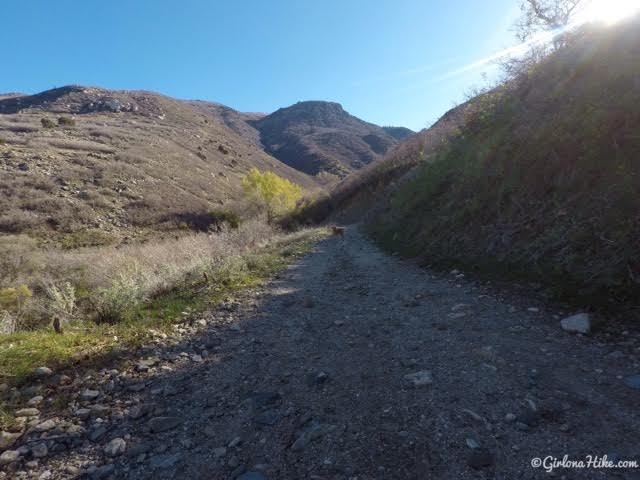 Hiking to The Grotto - Hornet Canyon, Hiking Steed Creek in Farmington, Utah, Hiking in Utah with Dogs