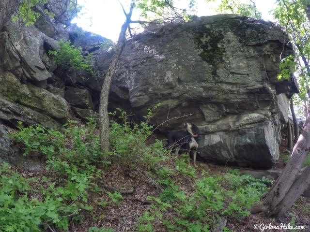 Hiking to The Grotto - Hornet Canyon, Hiking Steed Creek in Farmington, Utah, Hiking in Utah with Dogs