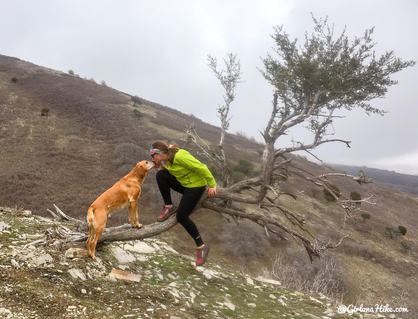 Hike the Bayliss Fork Trail, Emigration Canyon 