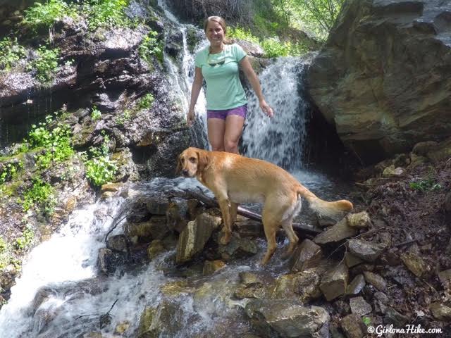 Hiking to The Grotto - Hornet Canyon, Hiking Steed Creek in Farmington, Utah, Hiking in Utah with Dogs