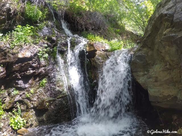 Hiking to The Grotto - Hornet Canyon, Hiking Steed Creek in Farmington, Utah, Hiking in Utah with Dogs