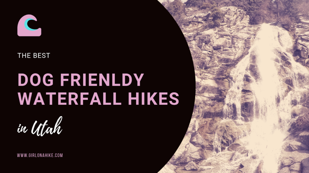 Best Dog Friendly Waterfall Hikes in Utah!