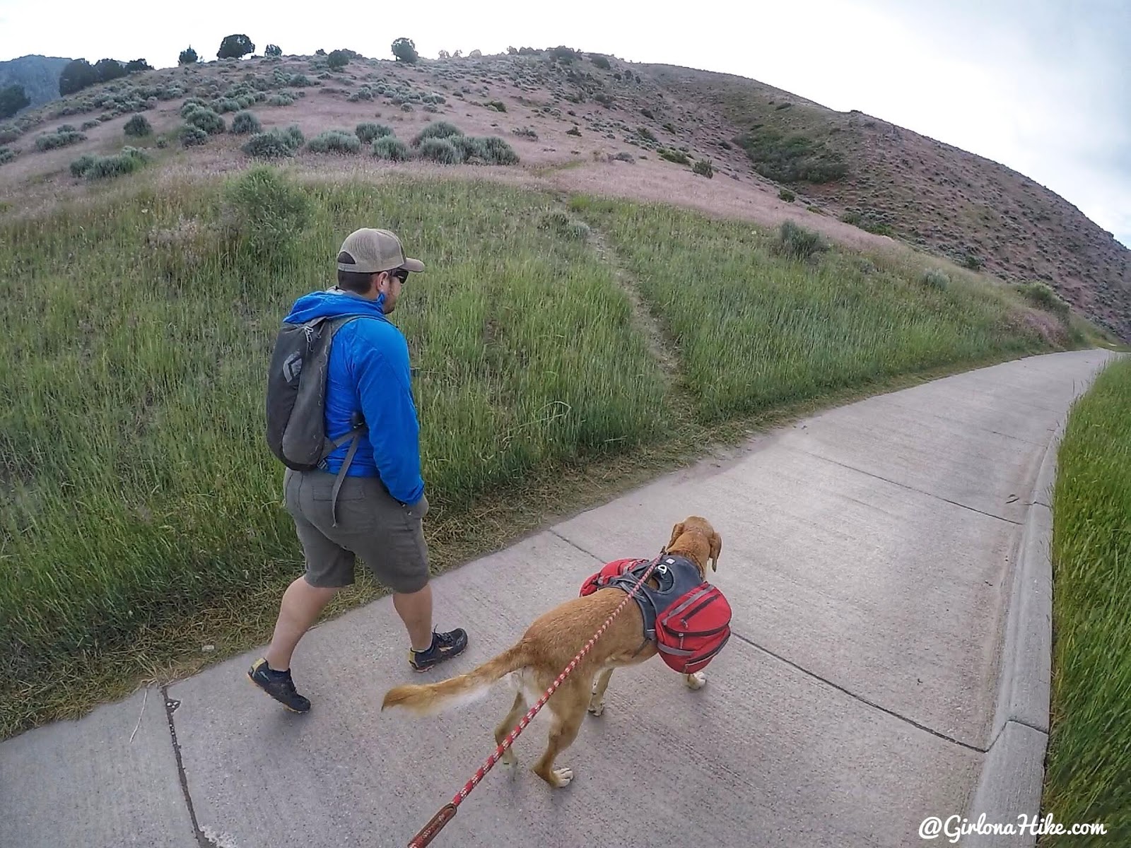 Hiking Mahogany Mountain, Utah county, utah peak baggers, hiking in utah with dogs, Utah's best peaks