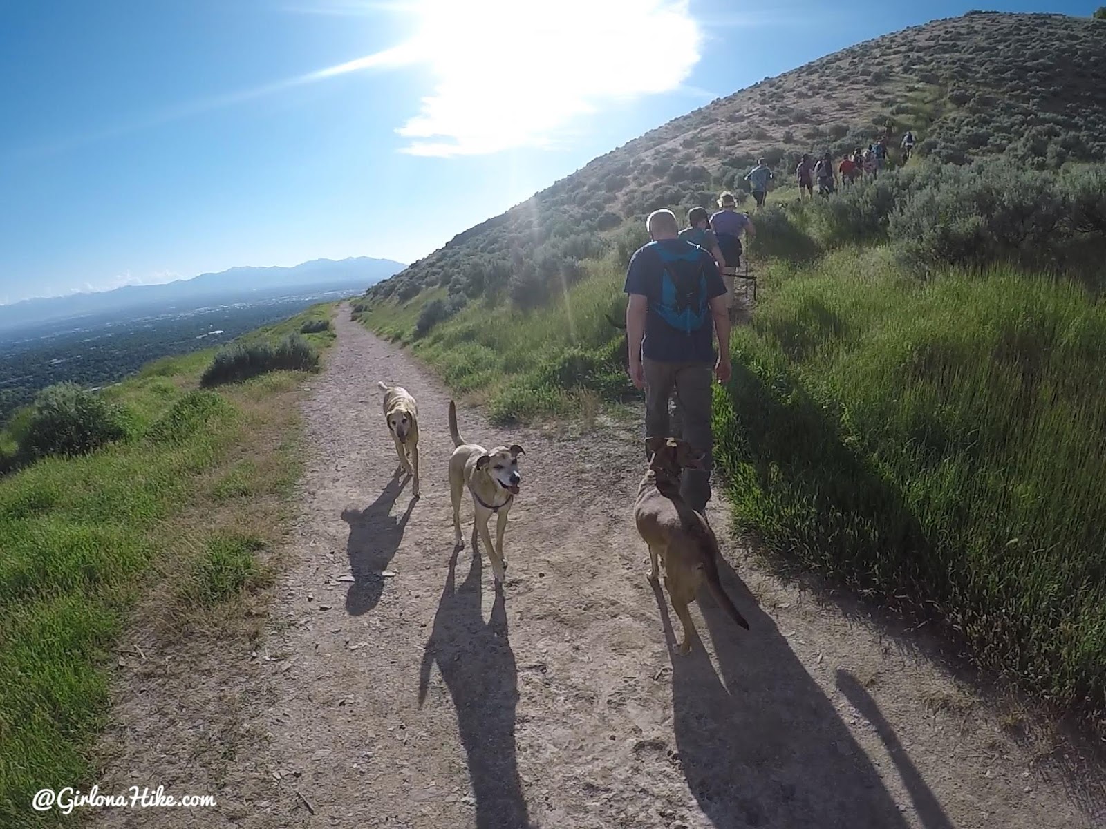 Hiking to Jack's Mailbox Peak, Utah, Hiking in Utah with Dogs