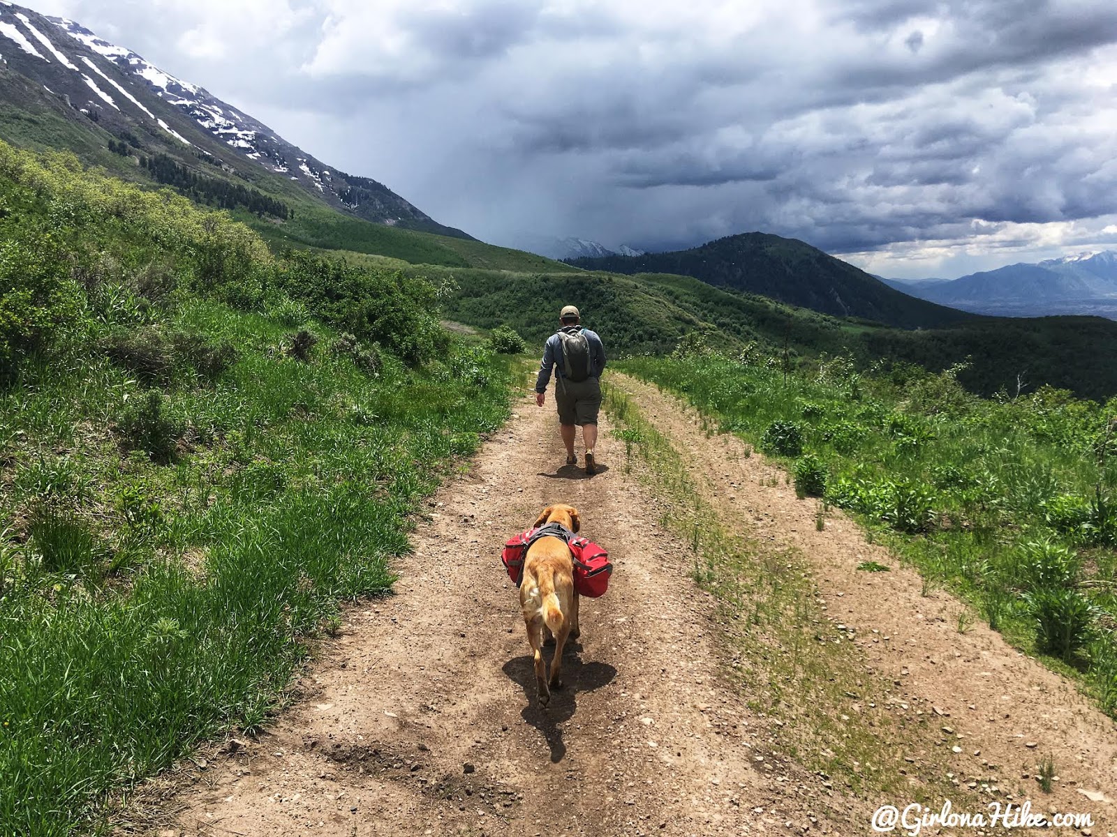 Hiking Mahogany Mountain, Utah county, utah peak baggers, hiking in utah with dogs, Utah's best peaks