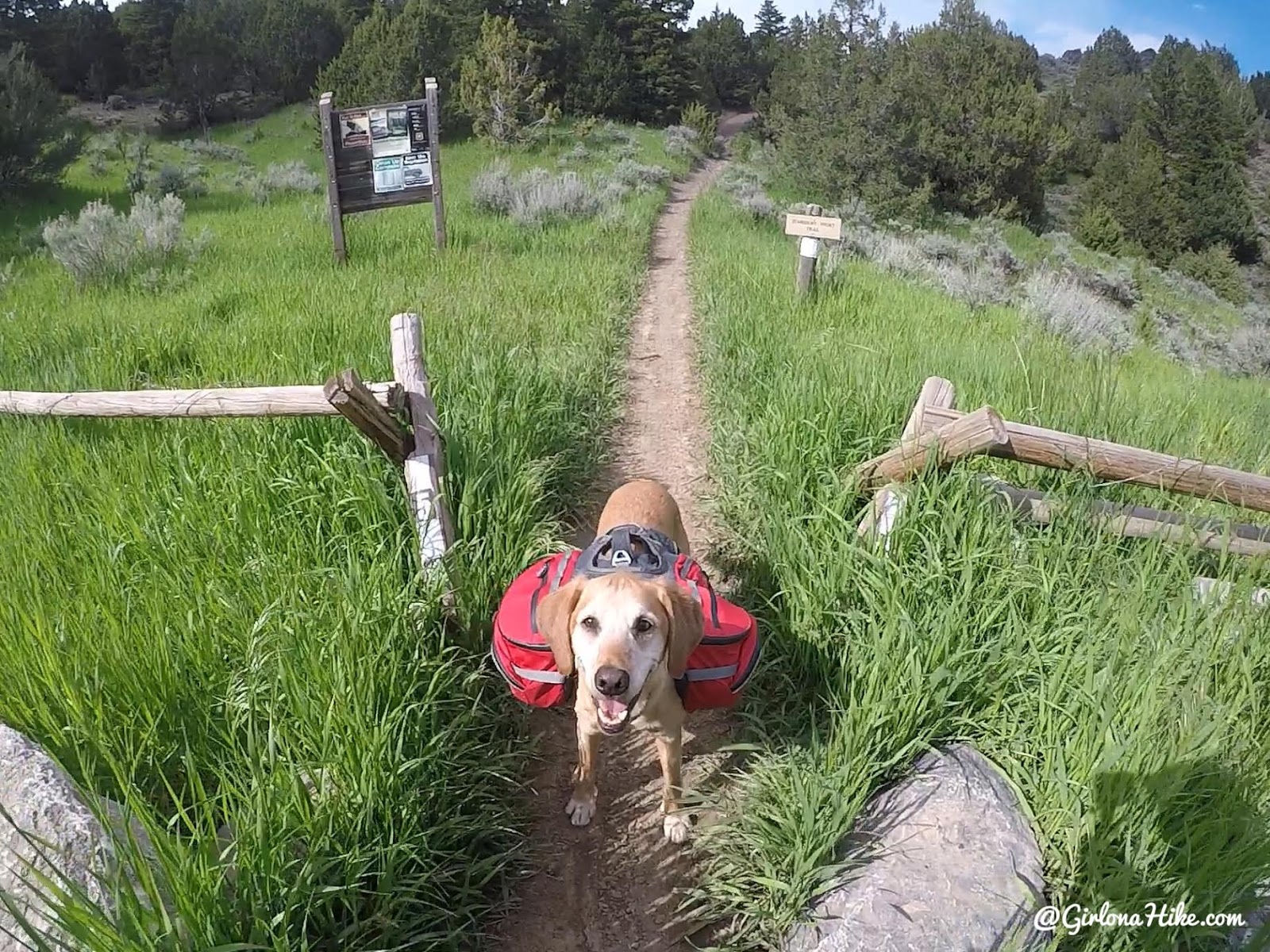 Backpacking to South Willow Lake, Desert Peak Wilderness