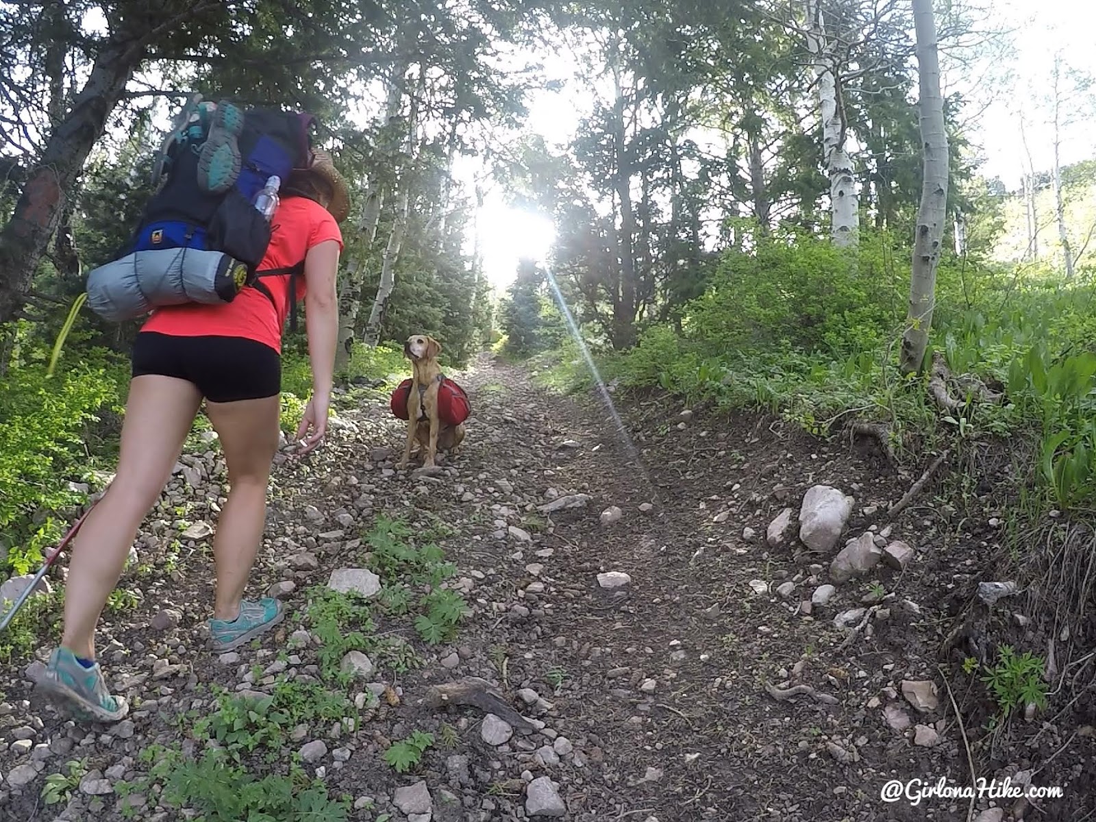 Backpacking to South Willow Lake, Desert Peak Wilderness