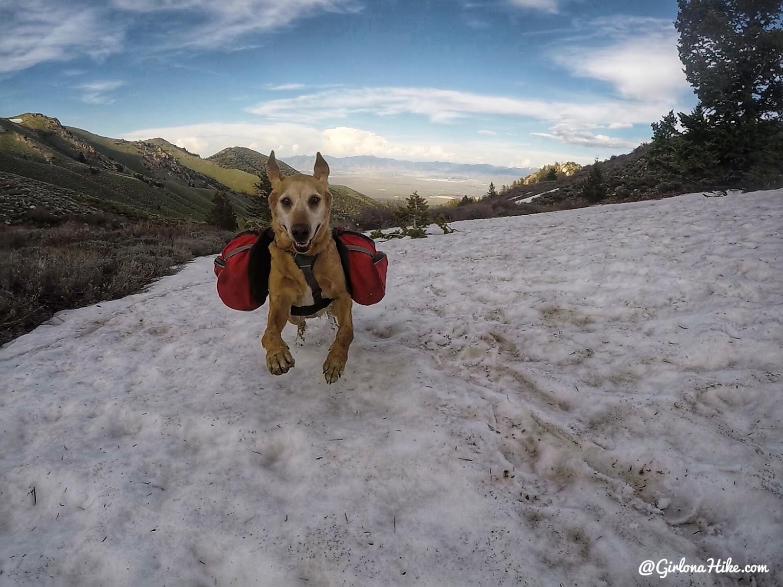 Backpacking to South Willow Lake, Desert Peak Wilderness