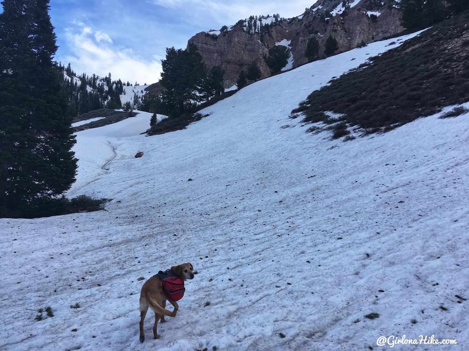 Backpacking to South Willow Lake, Desert Peak Wilderness